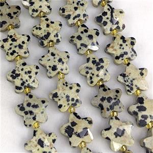 Natural Black Dalmatian Jasper Star Beads Faceted, approx 14mm