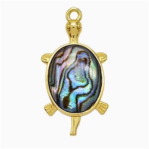Abalone Shell Tortoise Pendant Gold Plated, approx 16-30mm