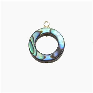 Abalone Shell Circle Pendant, approx 13mm