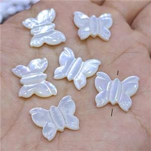 White MOP Shell Butterfly Beads, approx 15-17mm