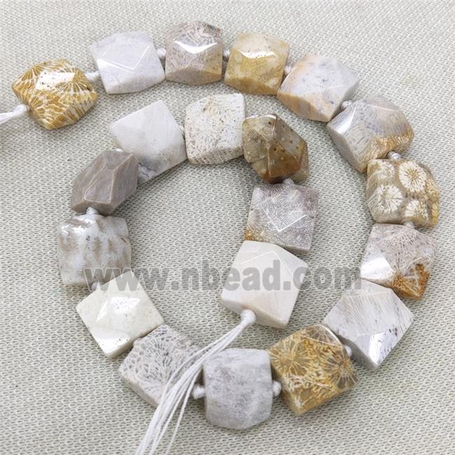 Natural Coral Fossil Beads Faceted Square