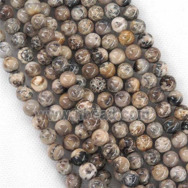 round Coral Fossil Beads