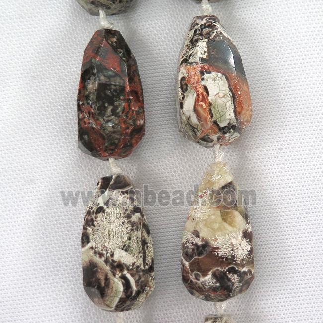faceted Ocean Jasper teardrop beads