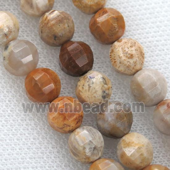 Coral Fossil Beads, faceted round
