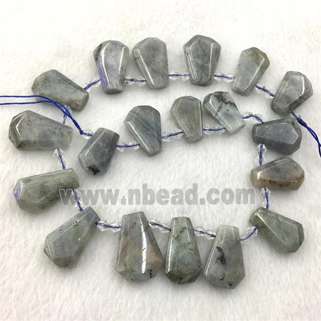 Labradorite teardrop collar beads
