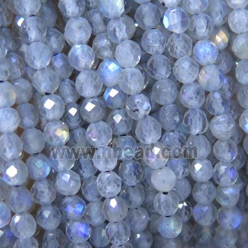 Labradorite beads, faceted round, AA-grade