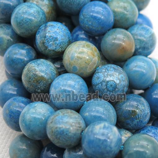 round blue Coral Fossil Beads, Petoskey