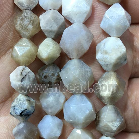 Coral Fossil beads, faceted round, B-grade