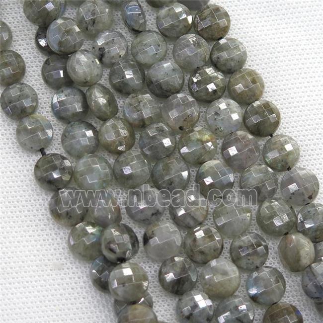 Labradorite beads, faceted circle