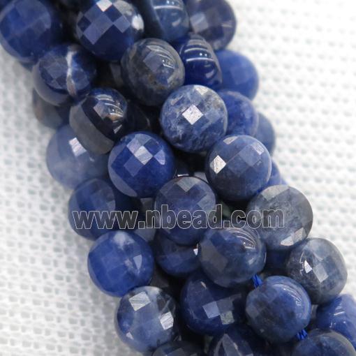 blue Sodalite beads, faceted circle