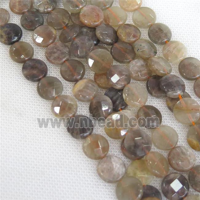 black SunStone Beads, faceted circle