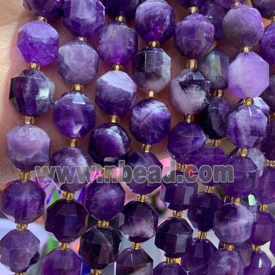 Dogtooth Amethyst bullet Beads, faceted