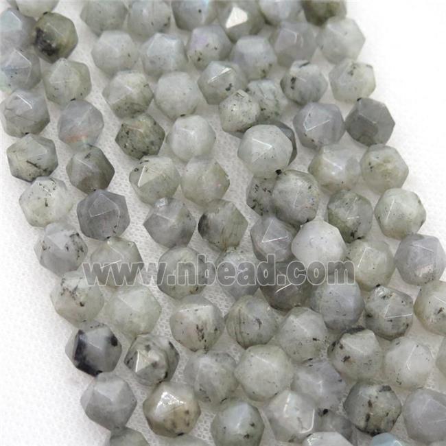 Labradorite Beads, faceted round, starcut