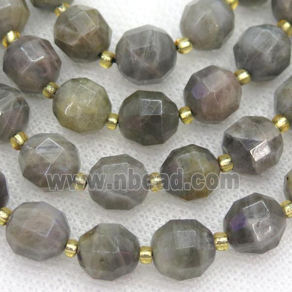 Labradorite beads, faceted bullet