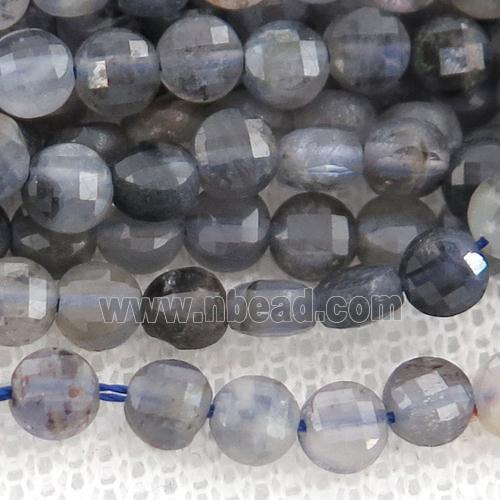 Iolite Beads, faceted coin