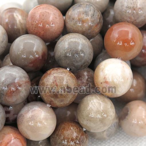 round Coral Fossil Beads, mixed color