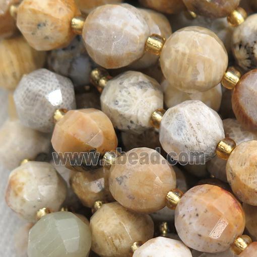 yellow Coral Fossil lantern beads