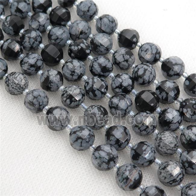 black Snowflake Jasper lantern Beads