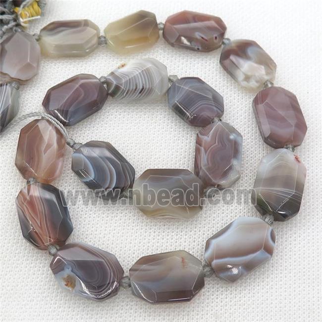 Botswana Agate Beads, faceted rectangle