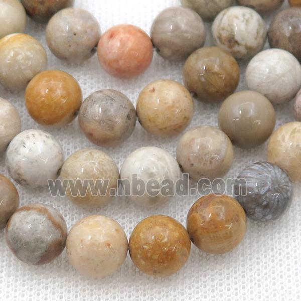 natural Coral Fossil Beads, round