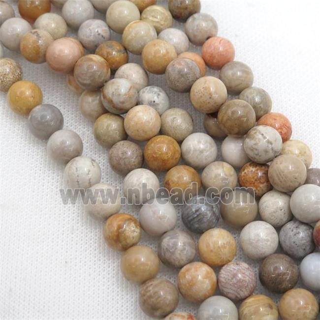 natural Coral Fossil Beads, round