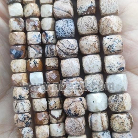 Picture Jasper Beads, faceted cube
