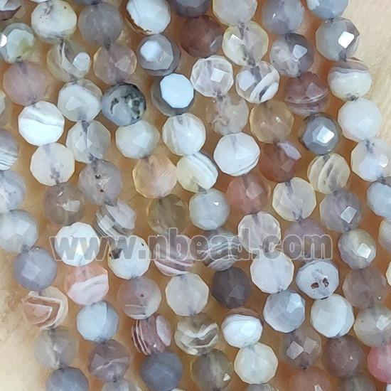 Botswana Agate Beads Tiny Faceted Round