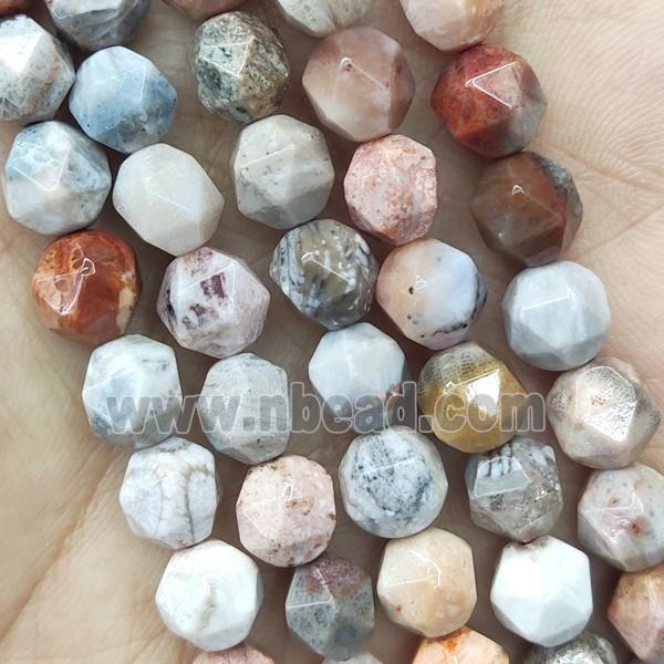 Coral Fossil Beads Multicolor Cut Round