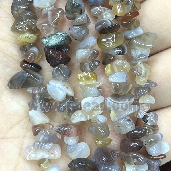 Botswana Agate Beads Chip Freeform