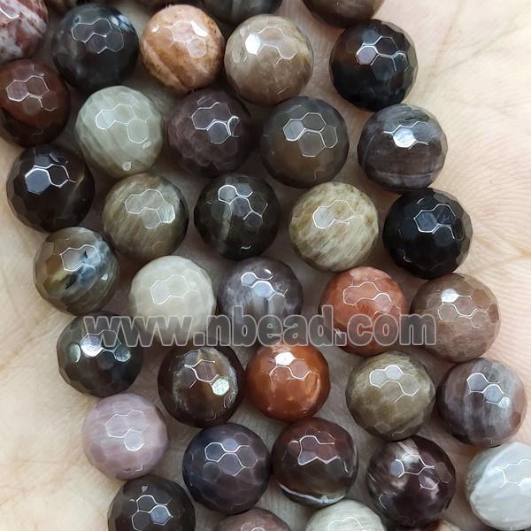 Wood Petrified Jasper Beads Faceted Round