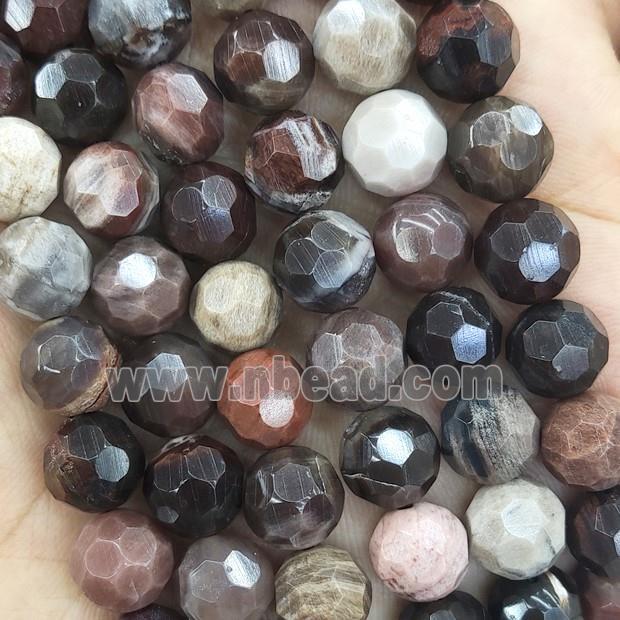 Wood Petrified Jasper Beads Multicolor Faceted Round