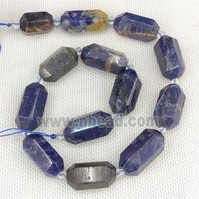 Blue Sodalite Prism Beads