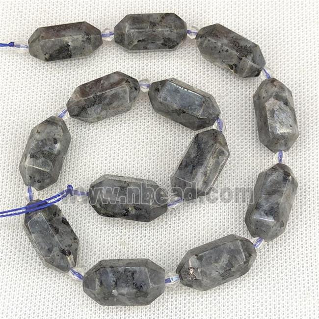 Black Labradorite Beads Prism