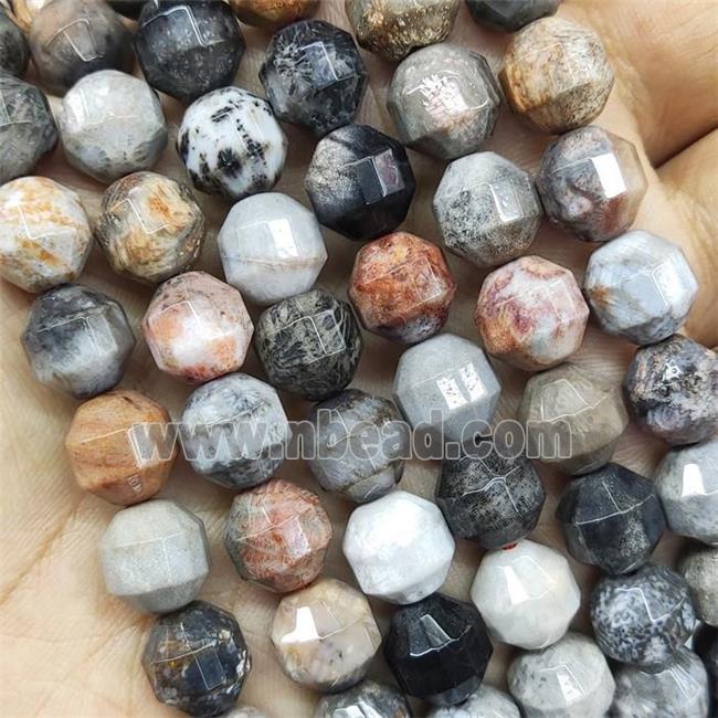 Coral Fossil Prism Beads Multicolor