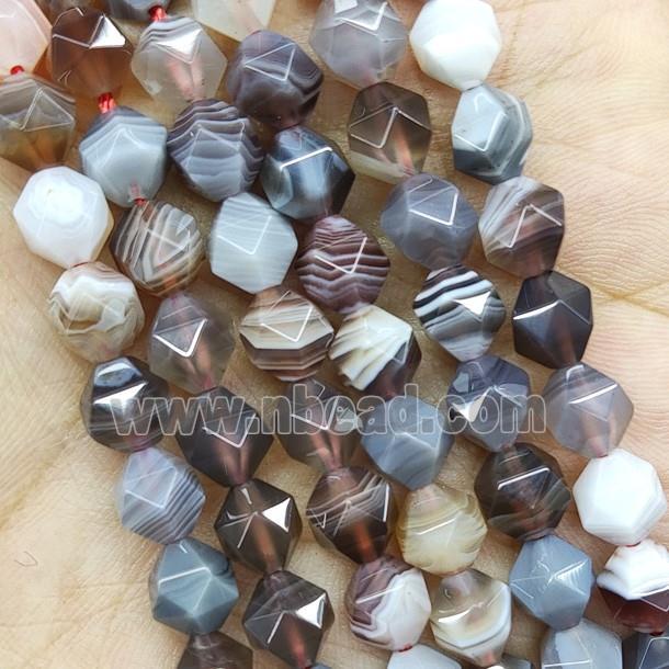 Botswana Agate Beads Starcut Round