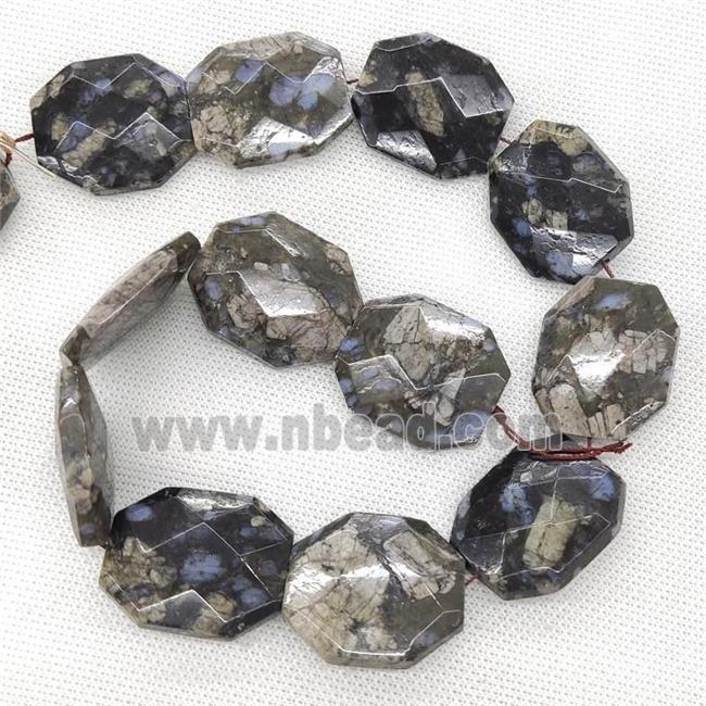 Gray Opal Beads Faceted Slice
