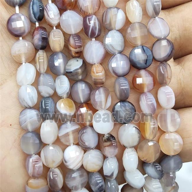 Botswana Agate Beads Faceted Circle