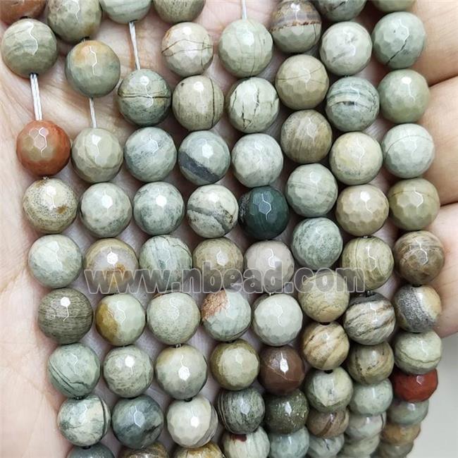 Natural Silver Leaf Jasper Beads Faceted Round
