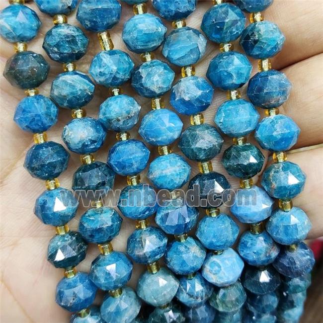 Natural Apatite Beads Blue Cut Rondelle