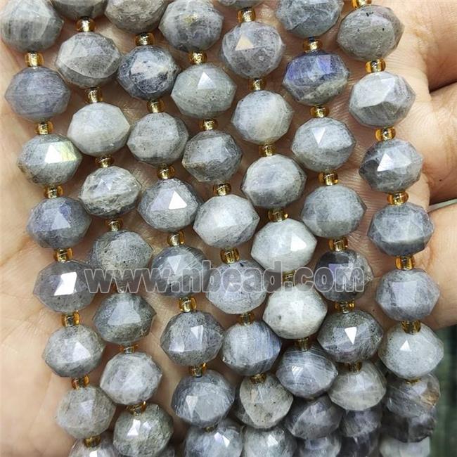 Natural Labradorite Beads Cut Rondelle
