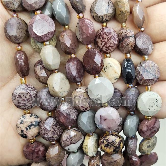Natural Chohua Jasper Beads Faceted Circle