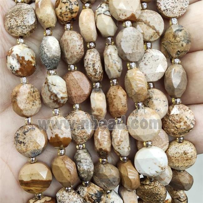 Natural Picture Jasper Beads Faceted Circle