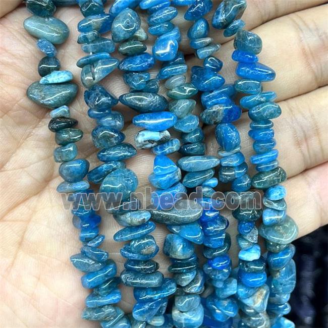 Natural Blue Apatite Chip Beads Freeform