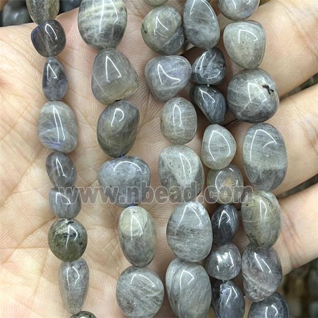 Natural Labradorite Beads Chips Freeform Polished