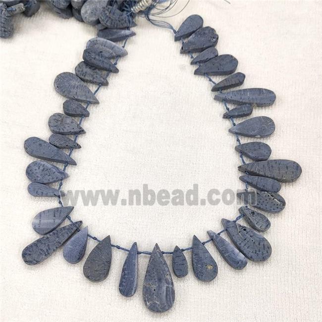 Blue Coral Fossil Teardrop Beads Topdrilled