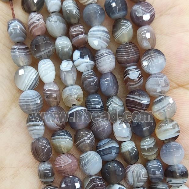 Natural Botswana Agate Beads Faceted Circle