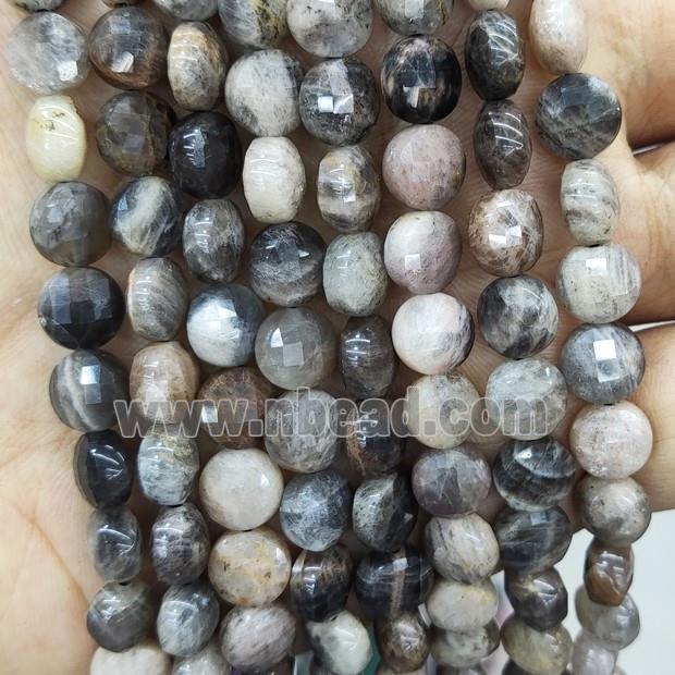 Natural Black Sunstone Beads Faceted Circle