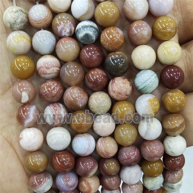 Natural Wood Petrified Jasper Beads Multicolor Smooth Round