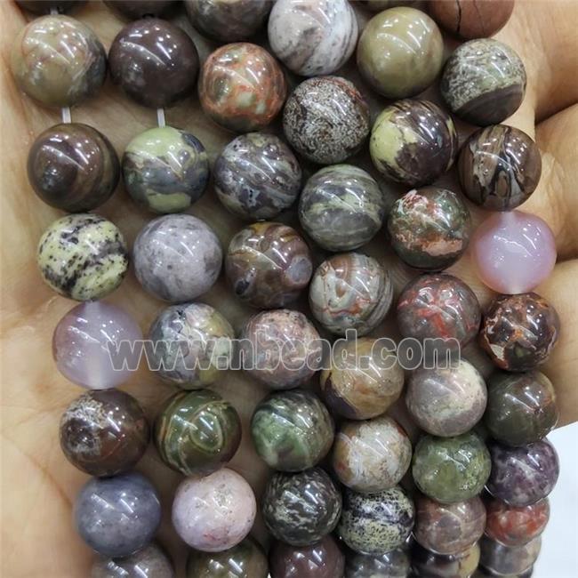 Natural Ocean Jasper Beads Multicolor Smooth Round