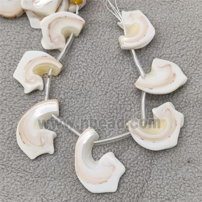 White Queen Shell Slice Beads Freeform Topdrilled